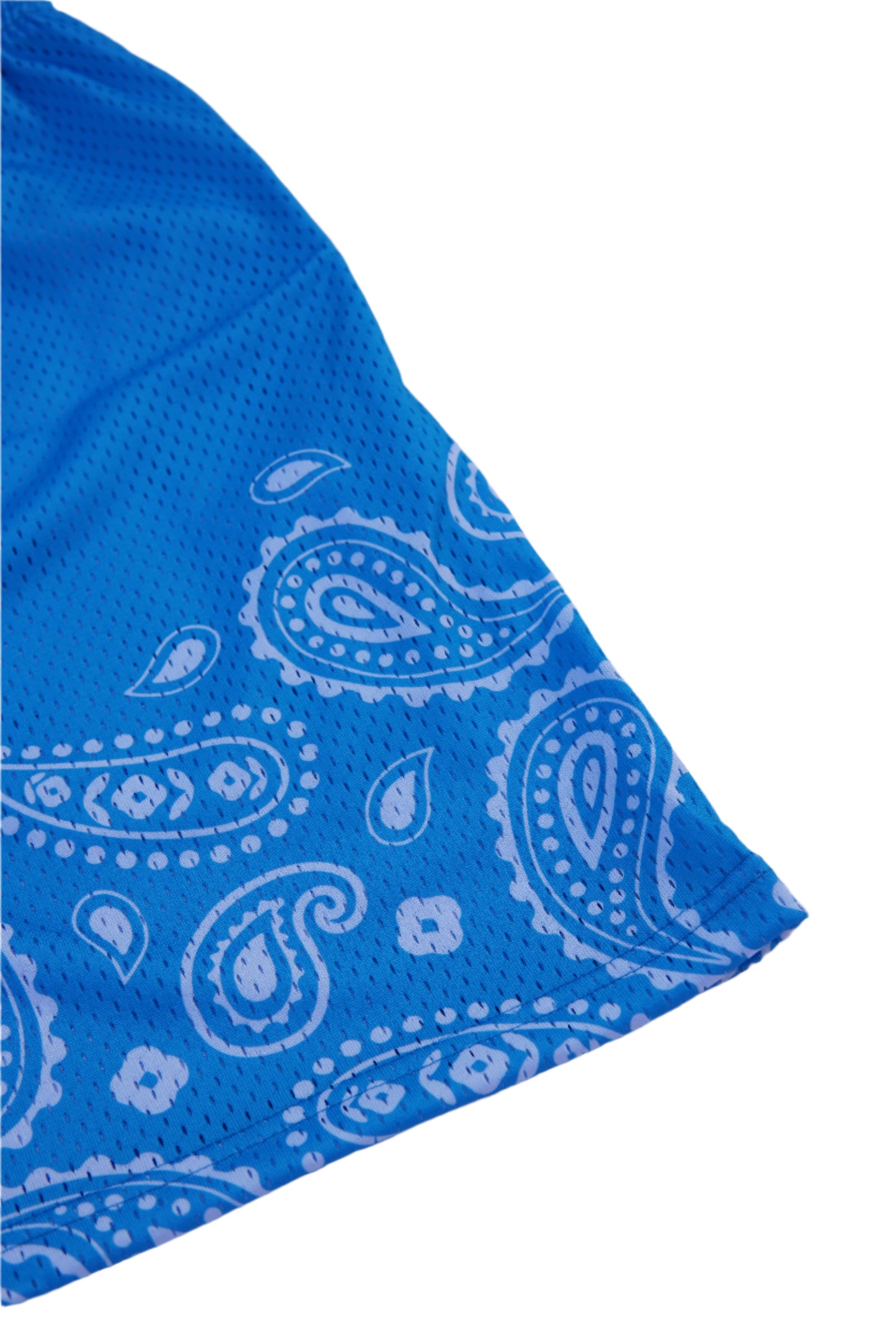 Masterpiece Mesh Shorts Blue (L/E)
