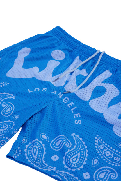 Masterpiece Mesh Shorts  Blue (L/E)